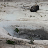 JONATHAN MEYER, fn 7457 - yellowstone, 2008
