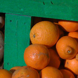 JONATHAN MEYER, fn 0655 - sf mission, 2009