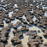 JONATHAN MEYER, fn 4914 - shark bay, 2007