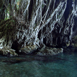 JONATHAN MEYER, fn D8100 - nggatokae, 2010