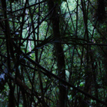 JONATHAN MEYER, fn D4842 - itatiaia, 2008