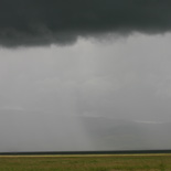 JONATHAN MEYER, fn 9435 - ngorongoro, 2010
