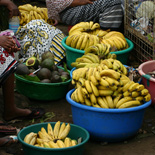 JONATHAN MEYER, fn 9250 - arusha, 2010