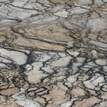 JONATHAN MEYER, fn 7610 - yellowstone, 2008