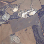 JONATHAN MEYER, fn D0122 - wa, 2007