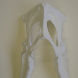 JONATHAN MEYER, Mask, 2007